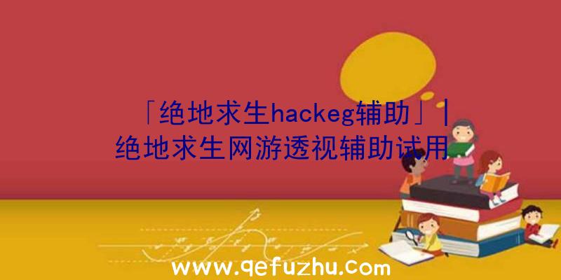 「绝地求生hackeg辅助」|绝地求生网游透视辅助试用